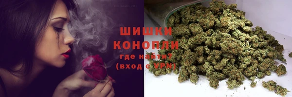 твердый Богородицк