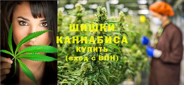 твердый Богородицк