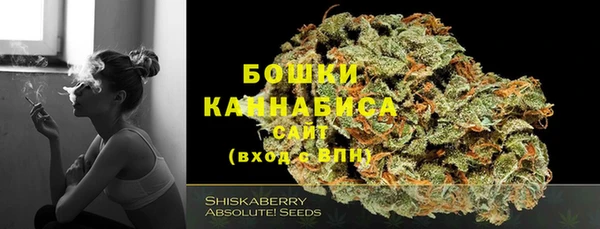 твердый Богородицк