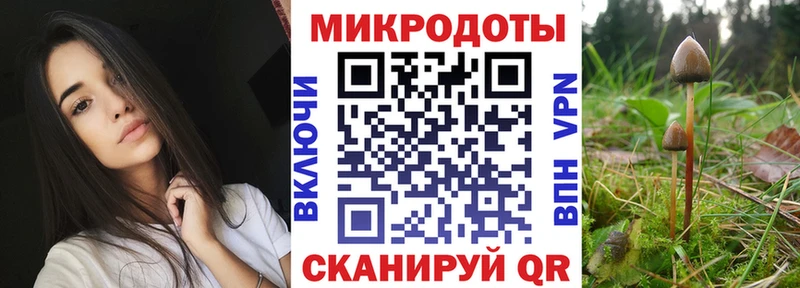 Купить закладки  Кондопога  Псилоцибиновые грибы мухоморы 