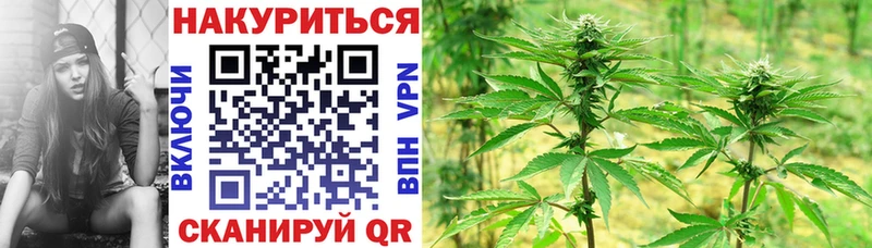 Канабис сатива  Купить где  Кондопога 